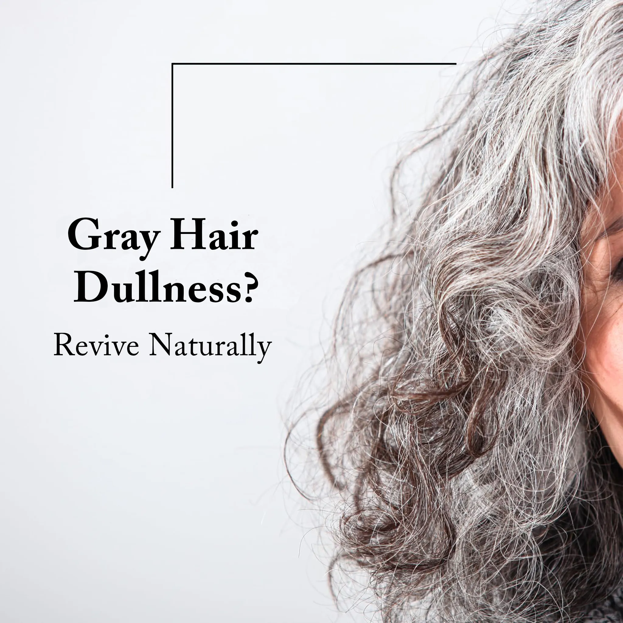 Conditioner For Gray Hair - Image 6